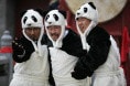 http://www.119127.cn/pics/default/download/a7370b3d4ac88727630152c8f51f2879.jpg