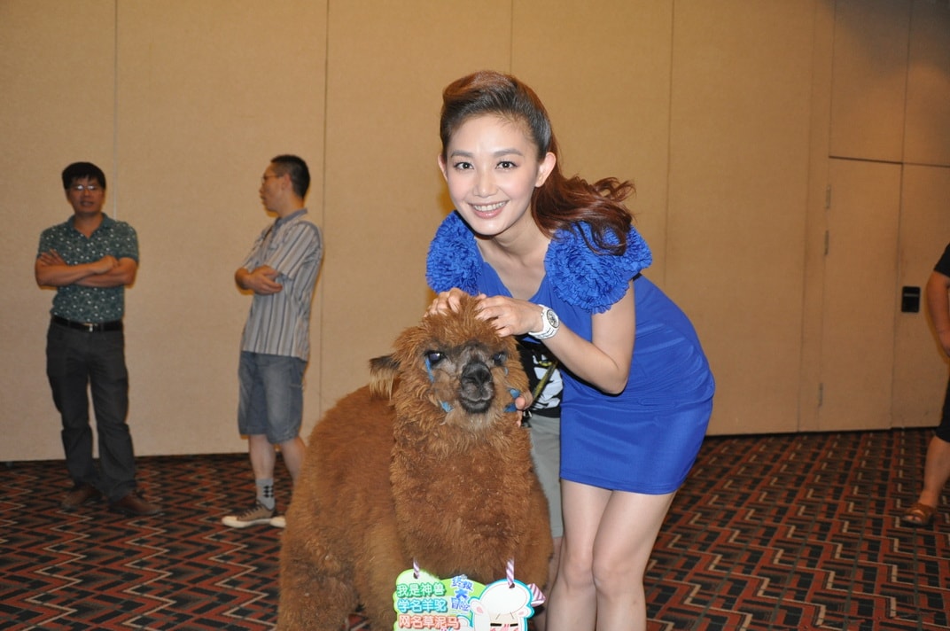http://www.119127.cn/pics/default/download/a76418232cd4109950993dc8a1d6855a.jpg