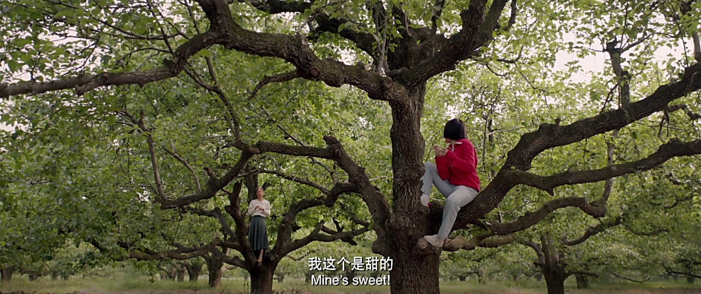 http://www.119127.cn/pics/default/download/a987111619d88a2fd22f8ff86c87bb0e.jpg