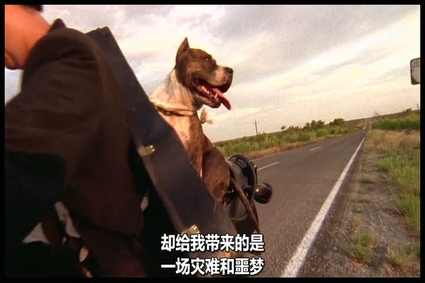 http://www.119127.cn/pics/default/download/a9dfe7433b224a6237ce2adad0386cbf.jpg