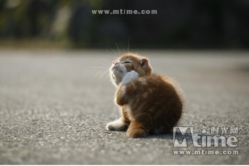 http://www.119127.cn/pics/default/download/aa47c90d71a31ffd67630b9f152a0ec3.jpg