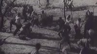 趙一曼-伏擊日軍音樂(lè)