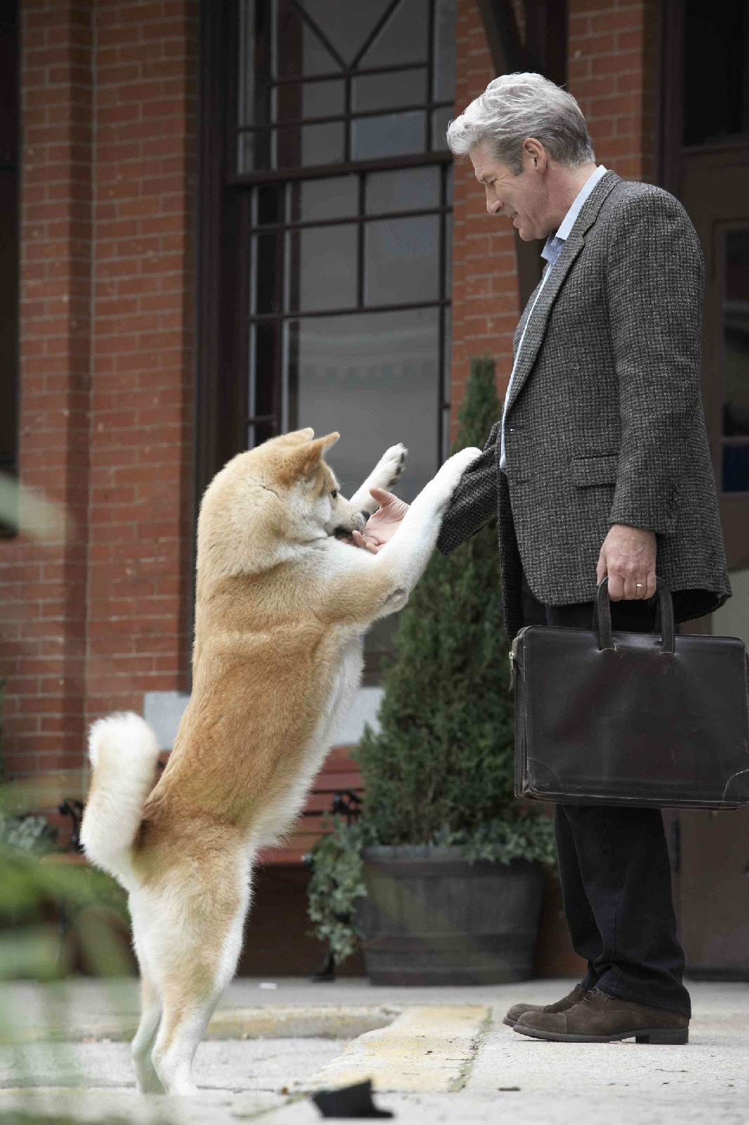 http://www.119127.cn/pics/default/download/aaecbb79e24463570fe20227bd88b18d.jpg