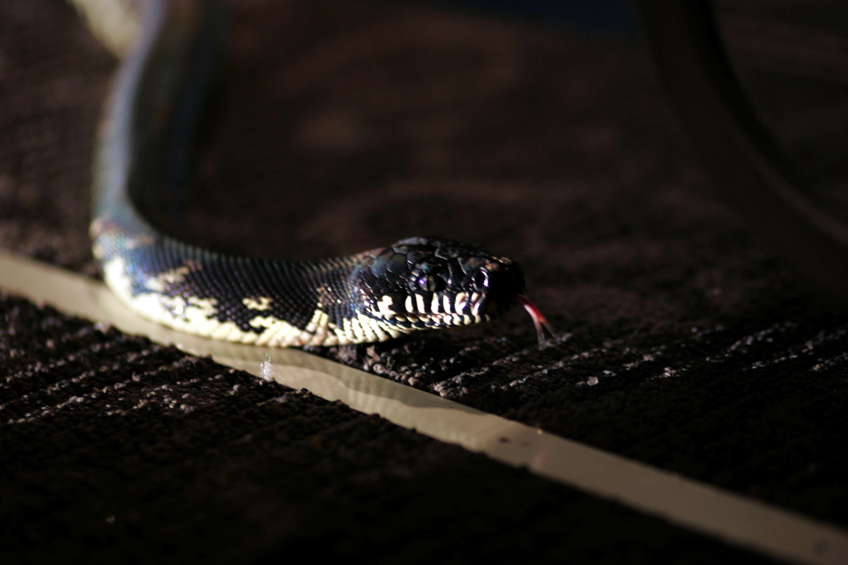 http://www.119127.cn/pics/default/download/ab566165d182b6fc5df9519455b8c2ba.jpg