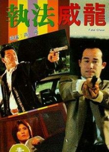 執(zhí)法威龍