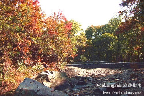 http://www.119127.cn/pics/default/download/adf04198b31a9644701f3e60537a36fd.jpg
