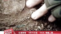 北京衛(wèi)視電視劇 戰(zhàn)雷 燃血英雄
