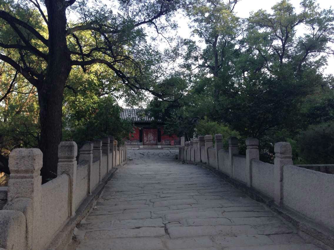 http://www.119127.cn/pics/default/download/ae200ba491cb29a9edc2f5b8d2bc8169.jpg