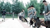 《神犬奇兵》萌寵成長(zhǎng)記 高清(360P)