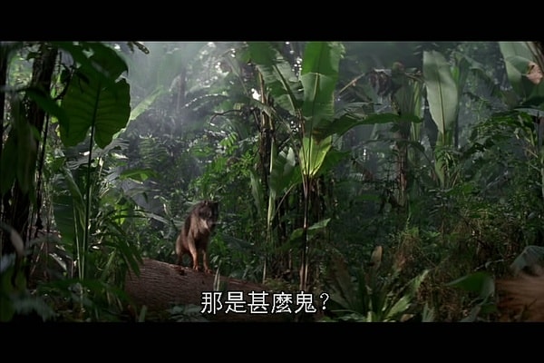 http://www.119127.cn/pics/default/download/b1d942cc1985fb36dd4cc048b9b6e294.jpg