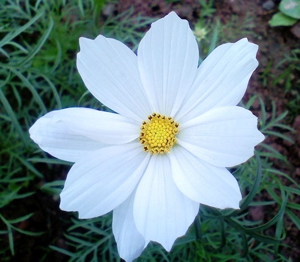 http://www.119127.cn/pics/default/download/b2f77c66d98e016cc9c93873378cec06.jpg