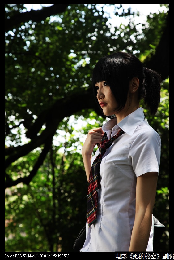 http://www.119127.cn/pics/default/download/b3e557a81b3d585a090581aea2023ca1.jpg