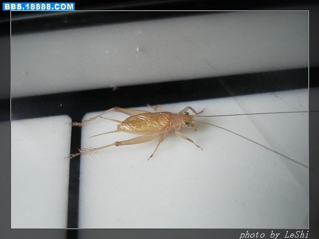 http://www.119127.cn/pics/default/download/b5e4989a69abbae64c39ca29f8188dd5.jpg