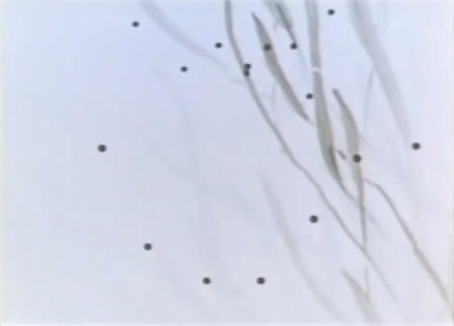 http://www.119127.cn/pics/default/download/b66b2b9c2ebd3e0c8a5492087c5973ec.jpg