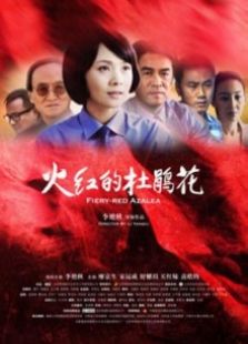 火紅的杜鵑花