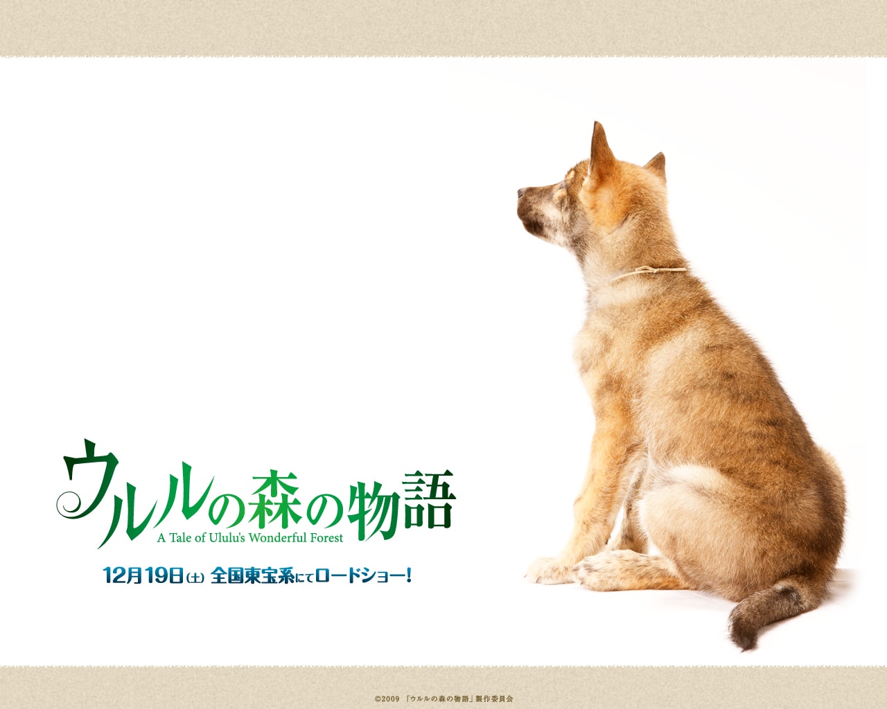 http://www.119127.cn/pics/default/download/ba84462665cdcd9723a8c13a3775a8c2.jpg