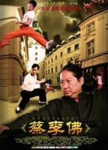 蔡李佛：極限拳速