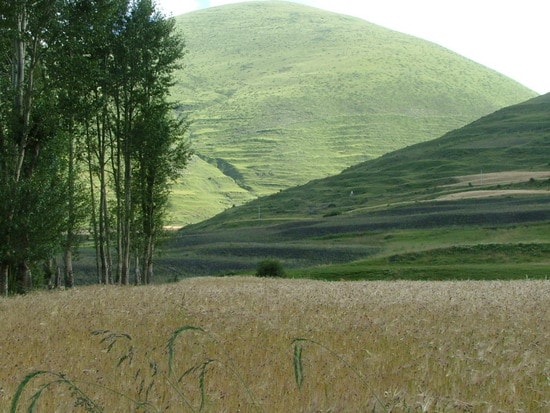http://www.119127.cn/pics/default/download/bb6bb19442788e7febc09db015a223e0.jpg