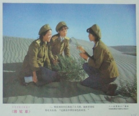 http://www.119127.cn/pics/default/download/bbaeb7357d6acd3af431294958761d1c.jpg