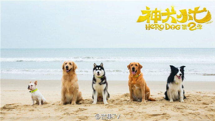http://www.119127.cn/pics/default/download/bbc164f1121fcfeb3d0a51a241bf0328.jpg