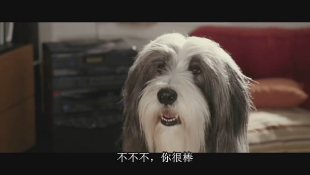 http://www.119127.cn/pics/default/download/bc4b71760b1b36880c1371a92ccb644b.jpg