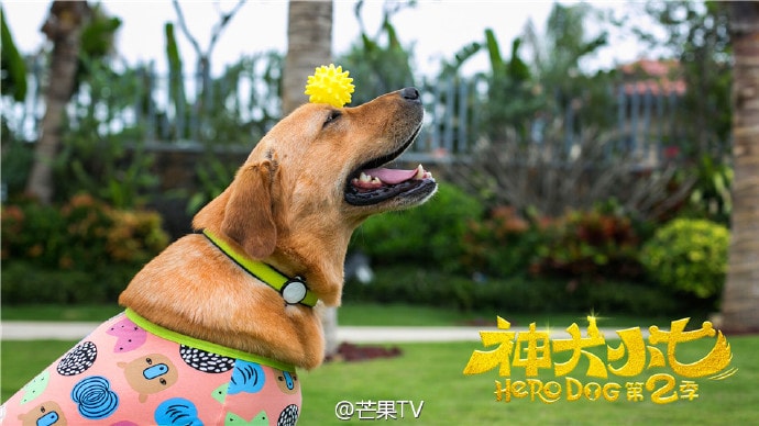http://www.119127.cn/pics/default/download/bcc2198ce7df2bf3df0f86e369e1a339.jpg
