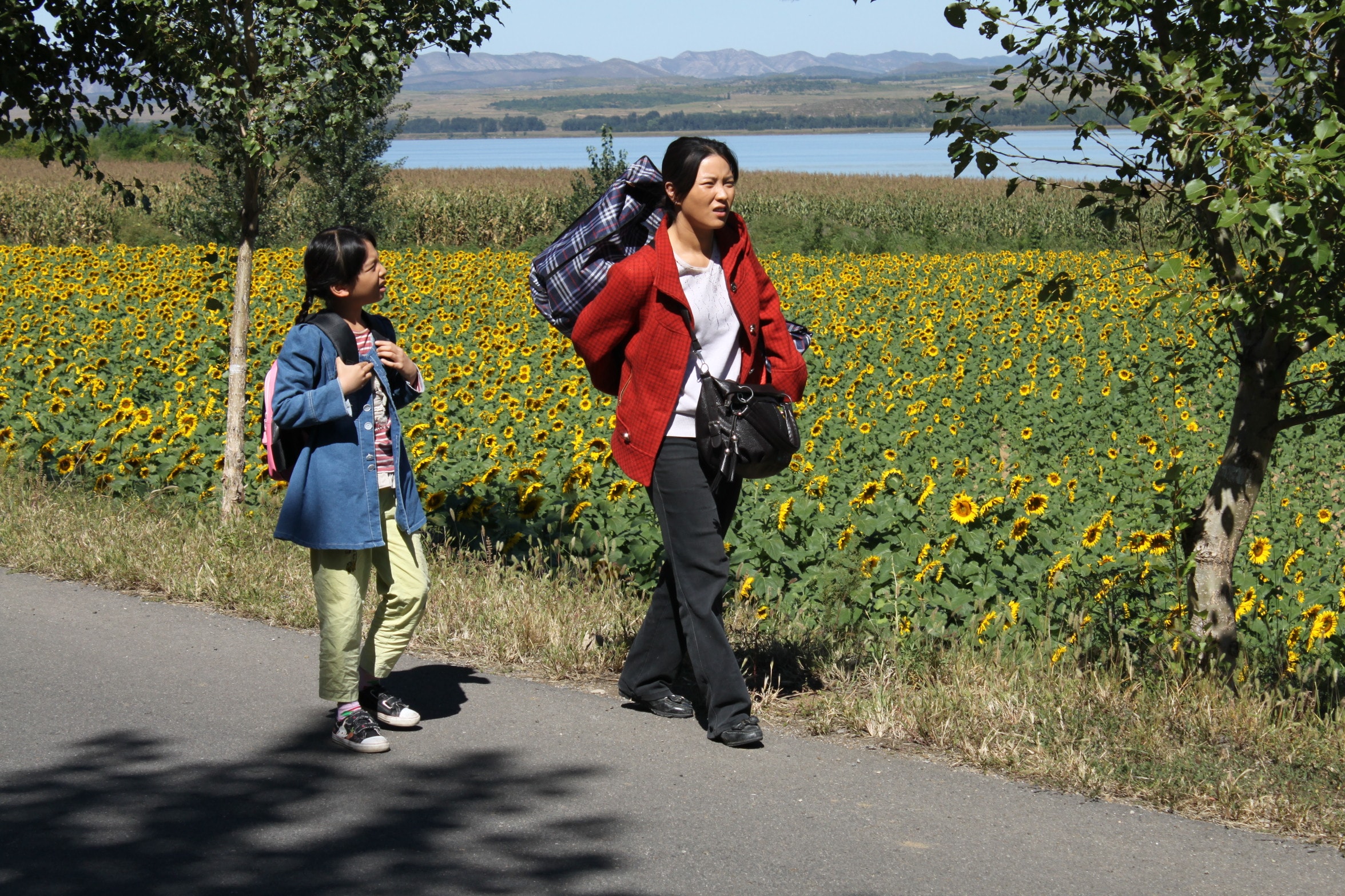 http://www.119127.cn/pics/default/download/bd20b952bd9a136fae981f16f14b9f82.jpg