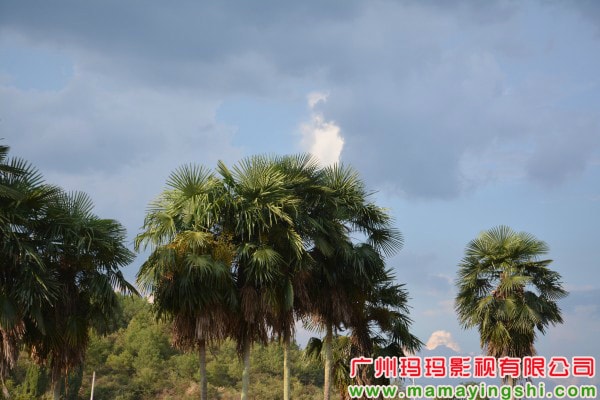 http://www.119127.cn/pics/default/download/bf626989fdbfd63a1b33de70eb4d58a4.jpg