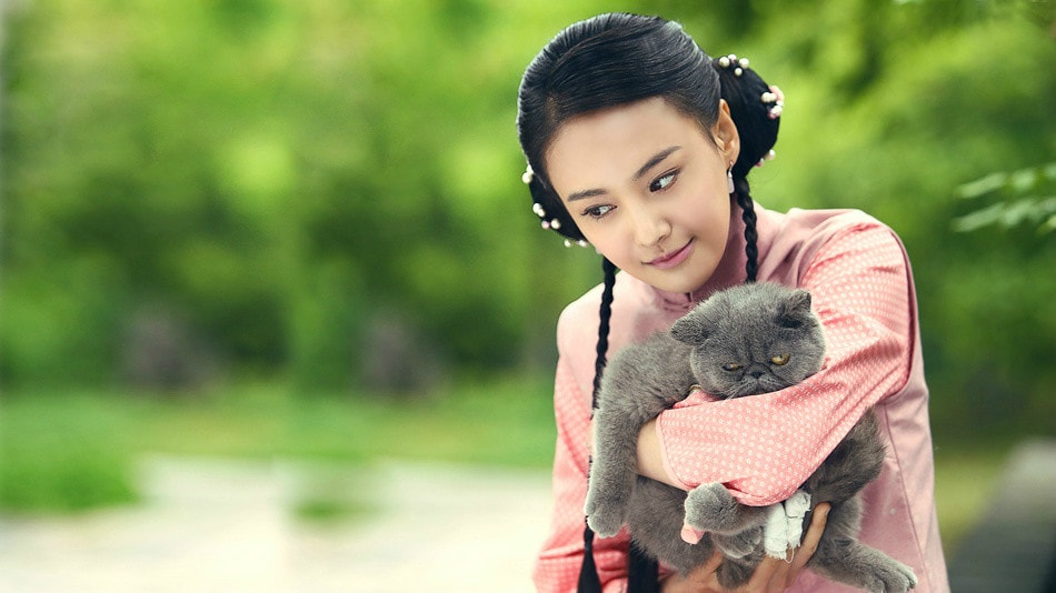 http://www.119127.cn/pics/default/download/c034d0c6ee93016dffba5a4891bf61b7.jpg