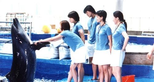 http://www.119127.cn/pics/default/download/c1395ab213217c9dd0f3aebe0798448c.jpg