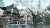 寂寞空庭春欲晚 TV版 《寂寞空庭春欲晚》張彬彬牽手鄭爽 詮釋一生一代一雙人的不渝愛(ài)情