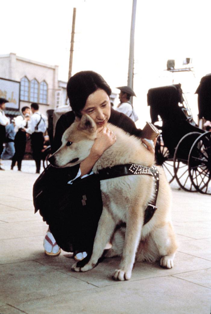http://www.119127.cn/pics/default/download/c348a628c849a4f0a608aa5748bd21da.jpg