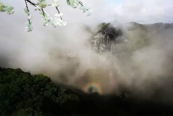 http://www.119127.cn/pics/default/download/c6063327d148f6916162955d07f7e7fa.jpg