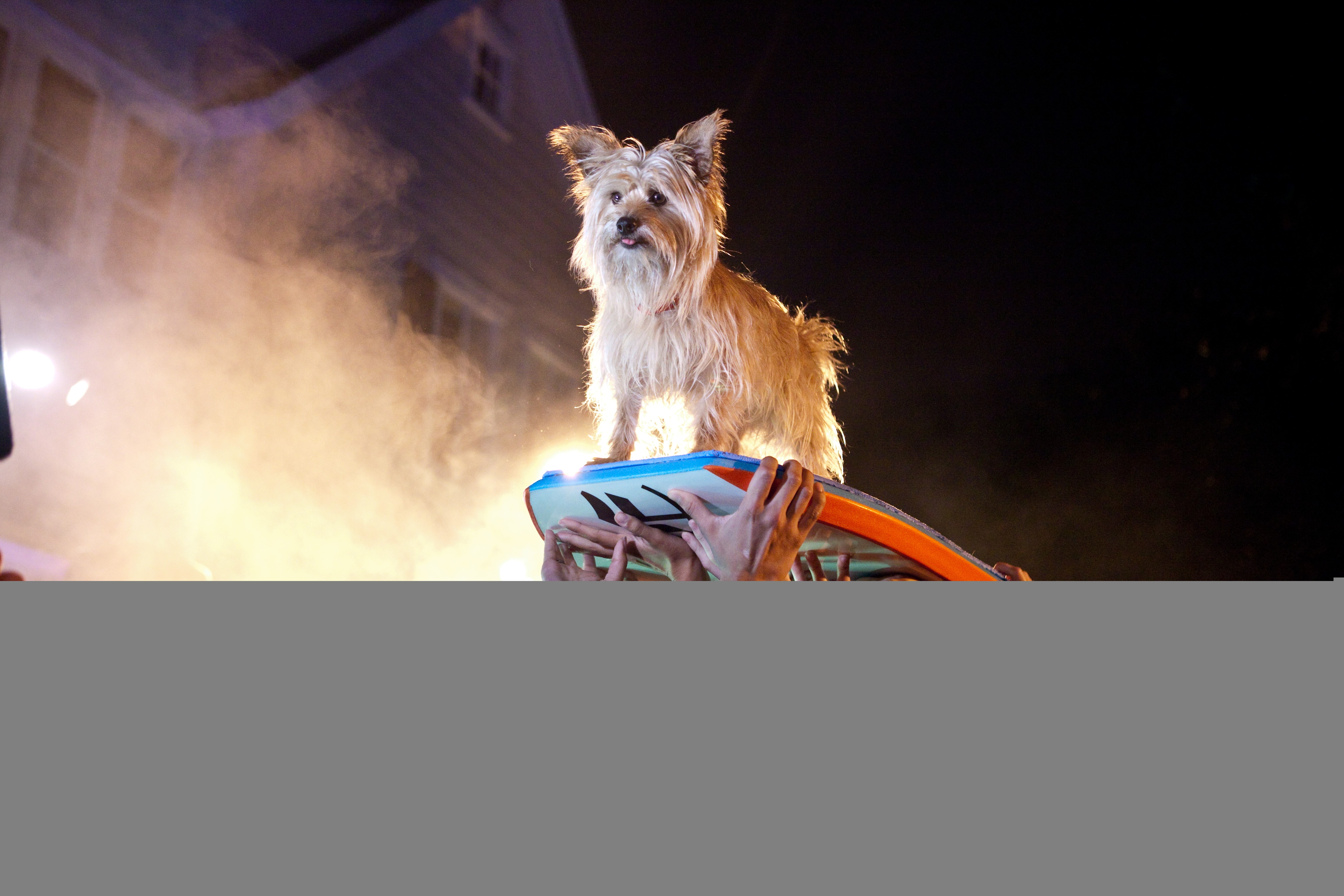 http://www.119127.cn/pics/default/download/c677ff36af6c82ac0d261851a073f6d9.jpg