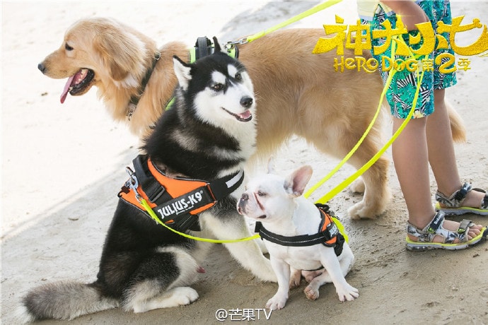 http://www.119127.cn/pics/default/download/c79be2266789ecf425075b1b7ad8c4d4.jpg