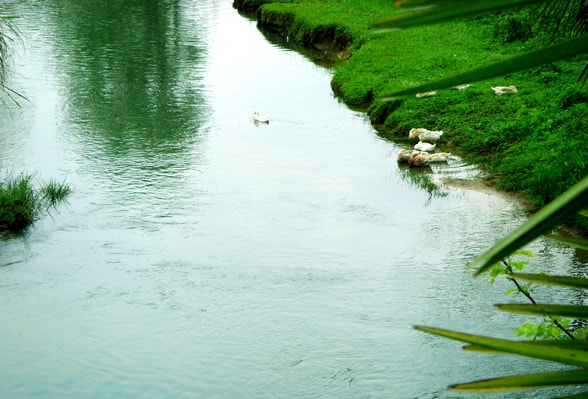 http://www.119127.cn/pics/default/download/c88d5fac726e0f431167007fc67eccba.jpg