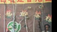 評(píng)劇名家愛(ài)派傳人張礪沄李香蓮賣(mài)畫(huà)選段報(bào)畫(huà)名