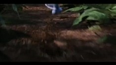 DVD/藍光發售預告片