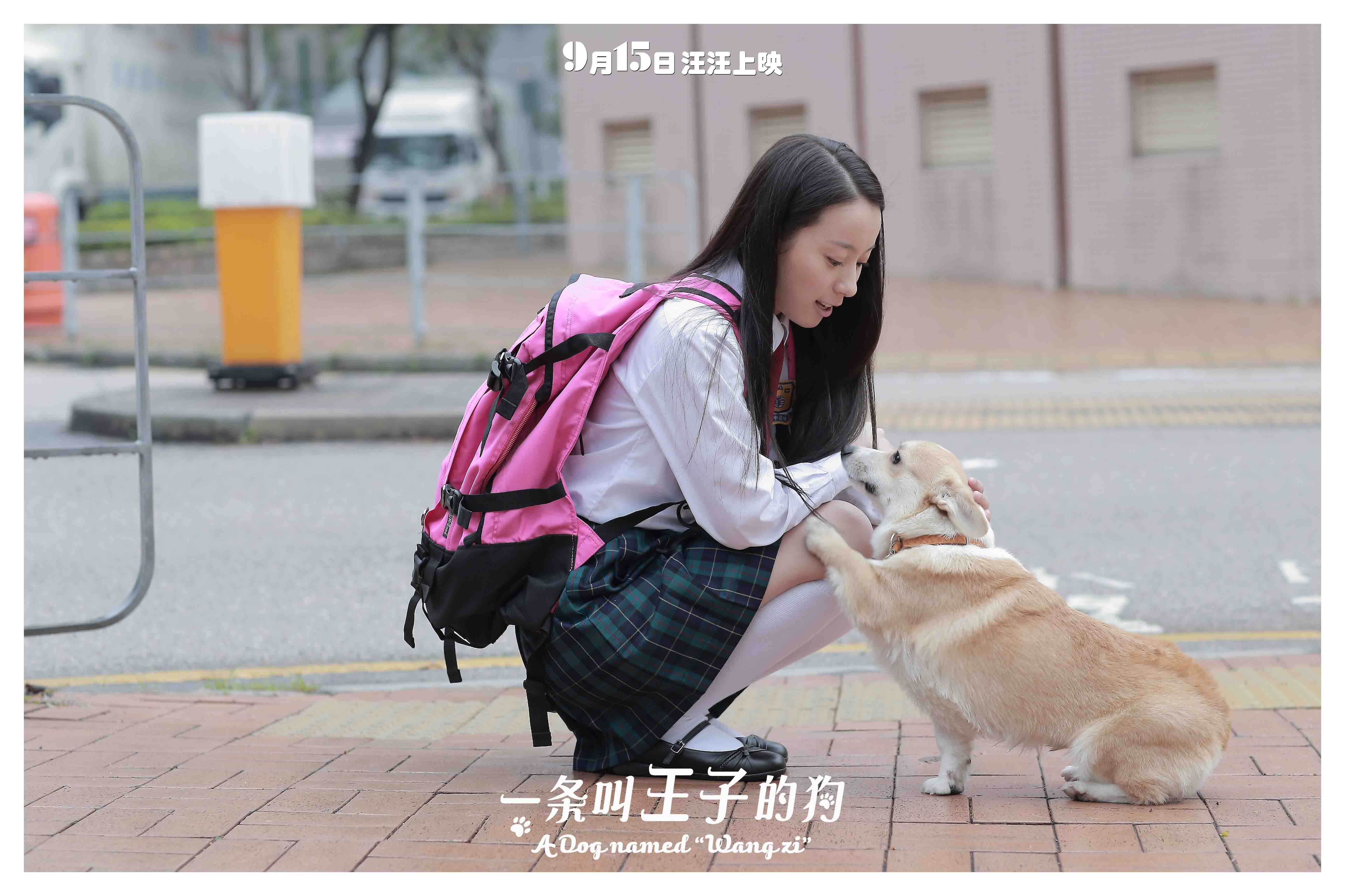 http://www.119127.cn/pics/default/download/c9c2747960d6bd9455a60fee1c484a99.jpg
