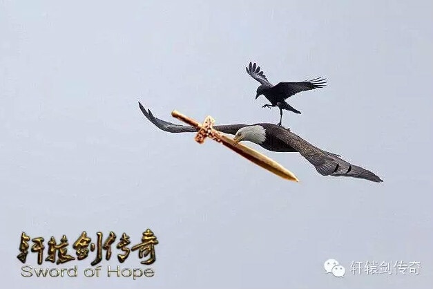 http://www.119127.cn/pics/default/download/c9d343866202fd12a882a36d8806be76.jpg