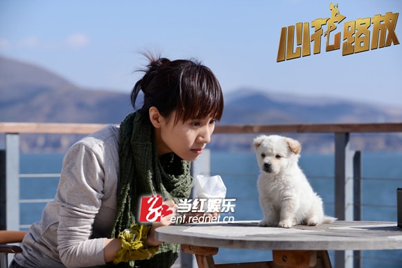 http://www.119127.cn/pics/default/download/cbb30619820d46473ad4eb2b3b73b06c.jpg