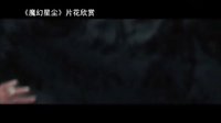 【看大片】魔幻星塵Stardust (2007)中文預(yù)告