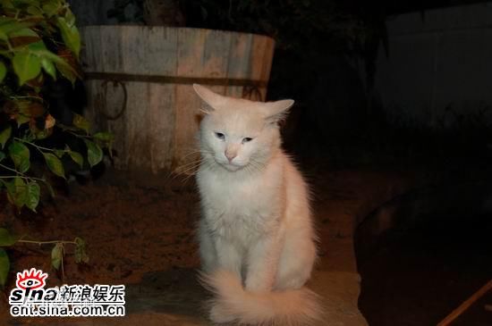 http://www.119127.cn/pics/default/download/d011f95313007f94305322f2265c63af.jpg