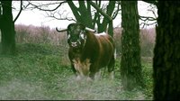 《老爸上戰(zhàn)場(chǎng)》Dad's Army 預(yù)告片