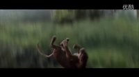 威爾·史密斯新作《重返地球》新片段 猛禽獵豹險(xiǎn)象環(huán)生