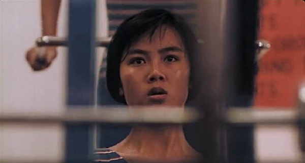 http://www.119127.cn/pics/default/download/d25ce9e41837428a8aae5c288fa86a2a.jpg