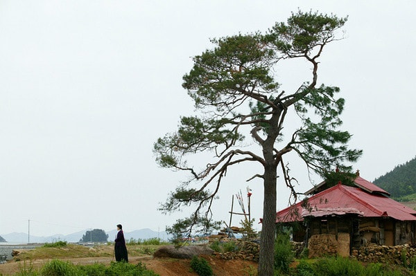 http://www.119127.cn/pics/default/download/d28f57f1b6e2982976aafd83081c060f.jpg