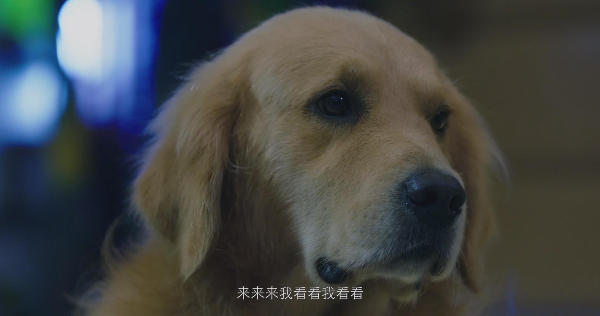http://www.119127.cn/pics/default/download/d345ad048fb24308eb7edbda21d11288.jpg