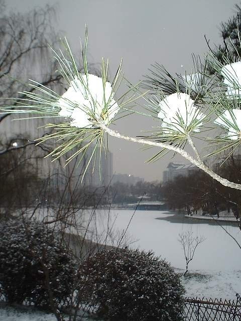 http://www.119127.cn/pics/default/download/d49f790c75cadde56d1f43b3fee05d15.jpg