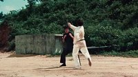 猛龍過江  李小龍VS空手道、合氣道高手
